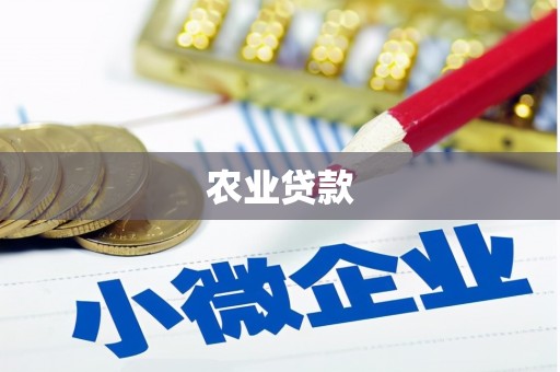 宜良农业贷款