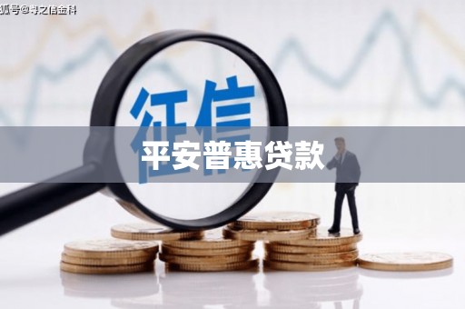 宜良平安普惠贷款