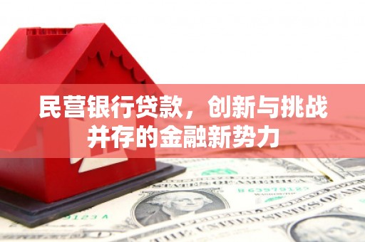 宜良民营银行贷款，创新与挑战并存的金融新势力