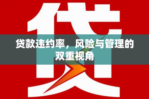 宜良贷款违约率，风险与管理的双重视角