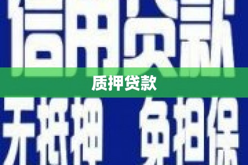 宜良质押贷款