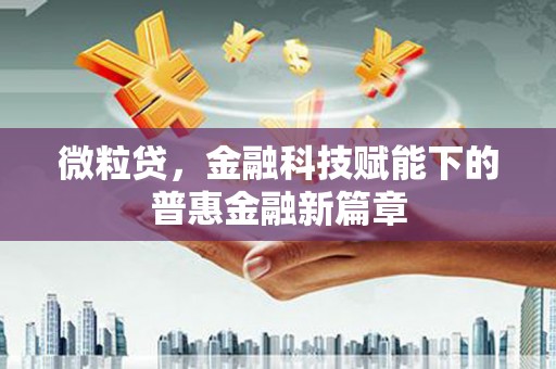 宜良微粒贷，金融科技赋能下的普惠金融新篇章