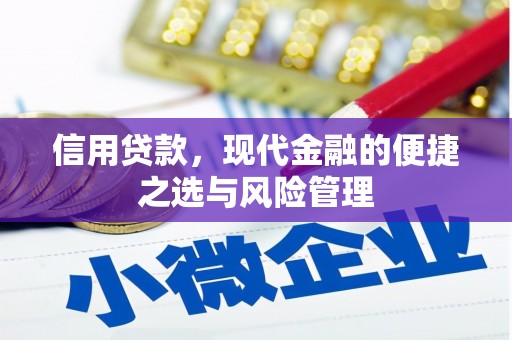 宜良信用贷款，现代金融的便捷之选与风险管理