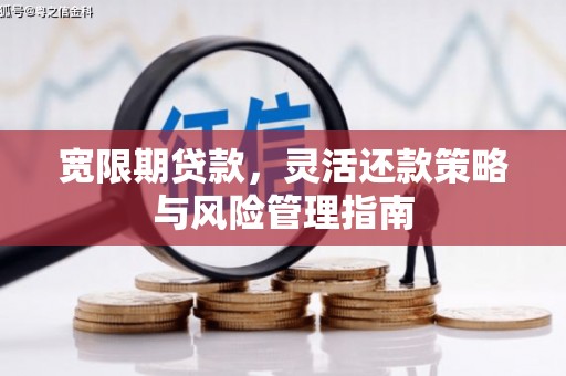 宜良宽限期贷款，灵活还款策略与风险管理指南