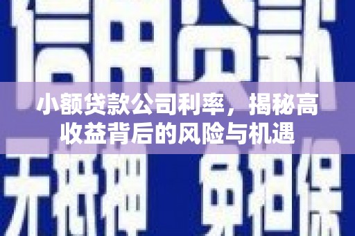 宜良小额贷款公司利率，揭秘高收益背后的风险与机遇
