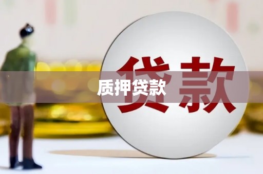 宜良质押贷款