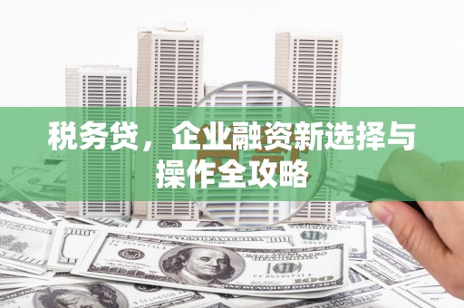 宜良税务贷，企业融资新选择与操作全攻略