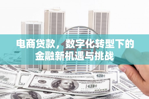 宜良电商贷款，数字化转型下的金融新机遇与挑战