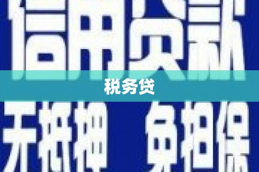 宜良税务贷