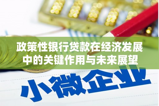 宜良政策性银行贷款在经济发展中的关键作用与未来展望