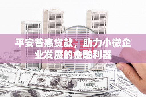 宜良平安普惠贷款，助力小微企业发展的金融利器