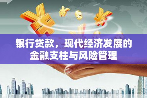宜良银行贷款，现代经济发展的金融支柱与风险管理