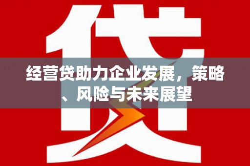 宜良经营贷助力企业发展，策略、风险与未来展望