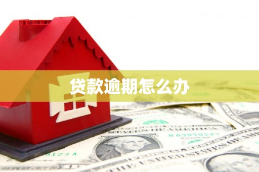 宜良贷款逾期怎么办