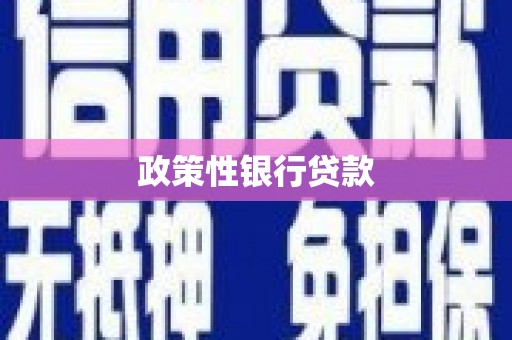 宜良政策性银行贷款