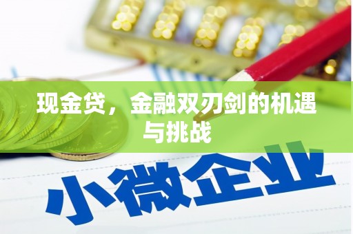 宜良现金贷，金融双刃剑的机遇与挑战
