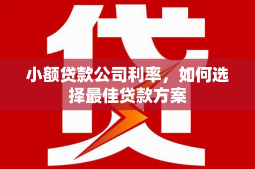 宜良小额贷款公司利率，如何选择最佳贷款方案
