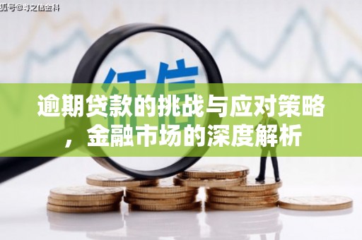 宜良逾期贷款的挑战与应对策略，金融市场的深度解析