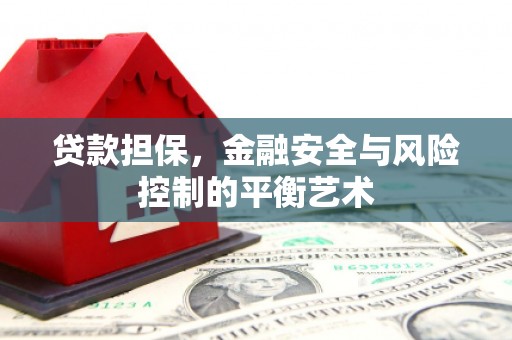 宜良贷款担保，金融安全与风险控制的平衡艺术