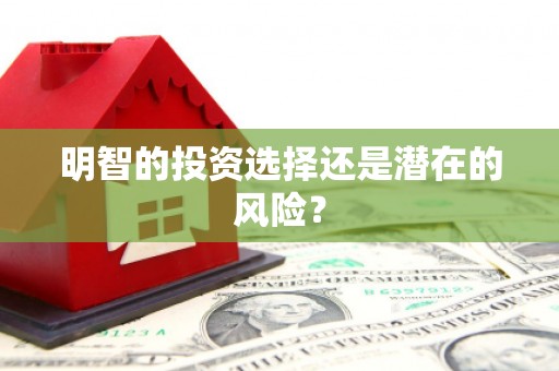 宜良明智的投资选择还是潜在的风险？