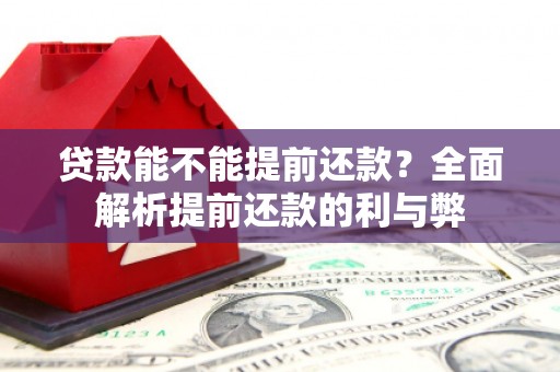 宜良贷款能不能提前还款？全面解析提前还款的利与弊