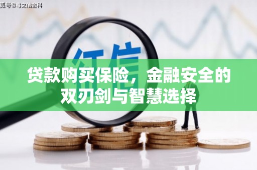 宜良贷款购买保险，金融安全的双刃剑与智慧选择