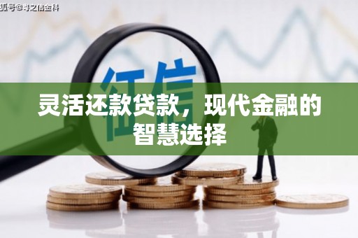 宜良灵活还款贷款，现代金融的智慧选择