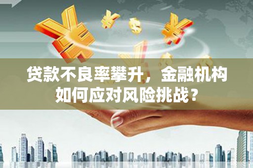 宜良贷款不良率攀升，金融机构如何应对风险挑战？