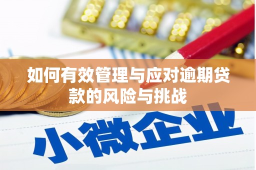 宜良如何有效管理与应对逾期贷款的风险与挑战