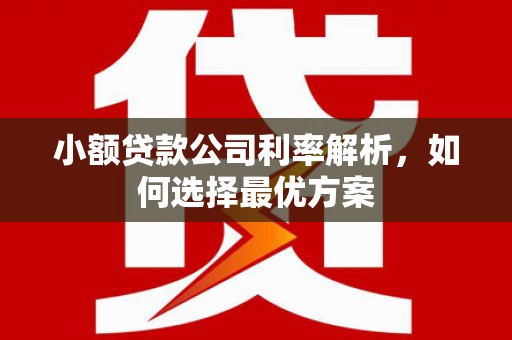 宜良小额贷款公司利率解析，如何选择最优方案