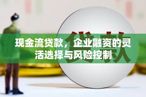 宜良现金流贷款，企业融资的灵活选择与风险控制
