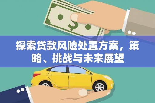 宜良探索贷款风险处置方案，策略、挑战与未来展望