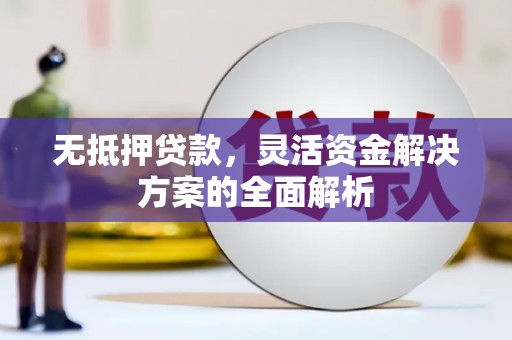 宜良无抵押贷款，灵活资金解决方案的全面解析