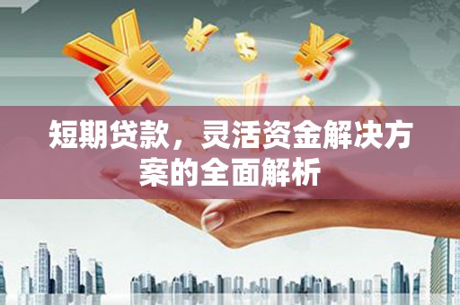 宜良短期贷款，灵活资金解决方案的全面解析