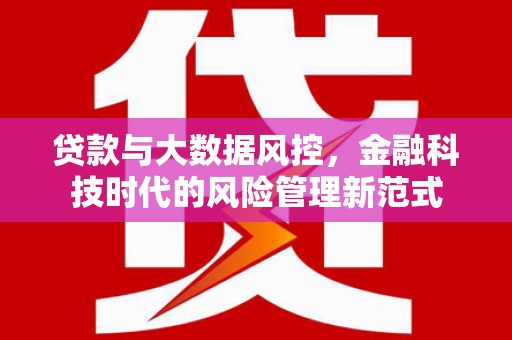 宜良贷款与大数据风控，金融科技时代的风险管理新范式