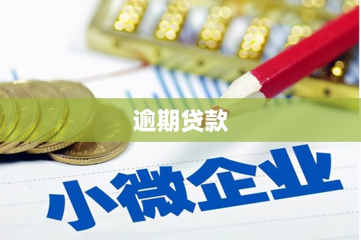 宜良逾期贷款