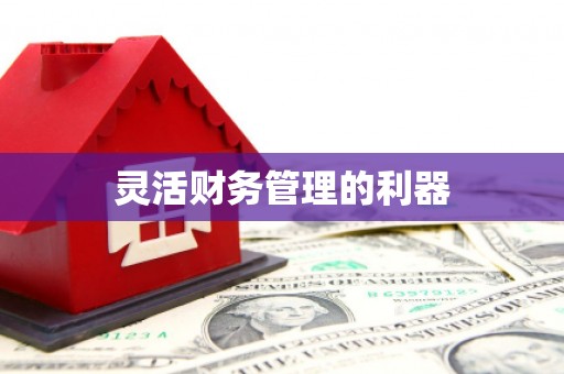 宜良灵活财务管理的利器