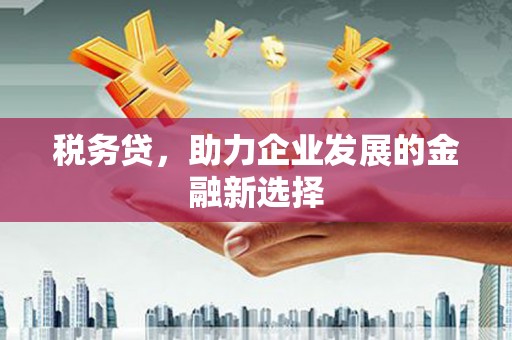宜良税务贷，助力企业发展的金融新选择