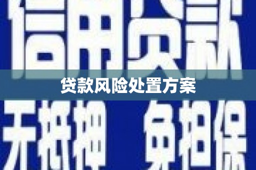 宜良贷款风险处置方案