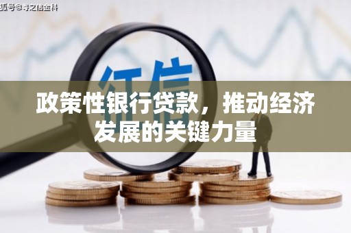 宜良政策性银行贷款，推动经济发展的关键力量
