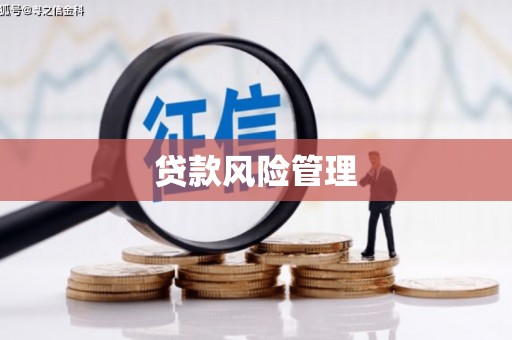 宜良贷款风险管理
