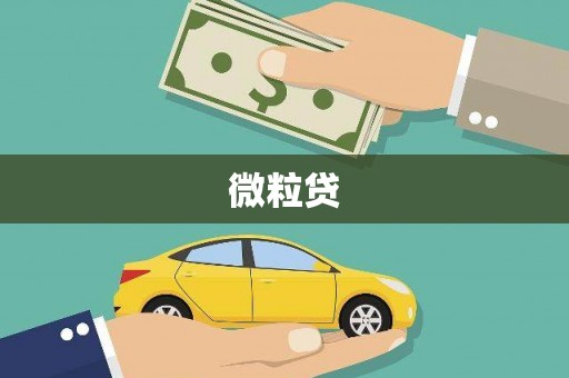 宜良微粒贷