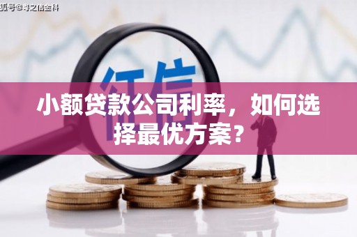 宜良小额贷款公司利率，如何选择最优方案？