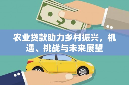 宜良农业贷款助力乡村振兴，机遇、挑战与未来展望
