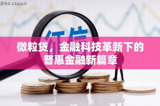 宜良微粒贷，金融科技革新下的普惠金融新篇章