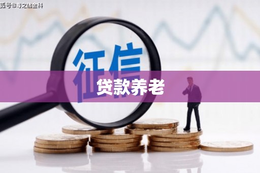 宜良贷款养老