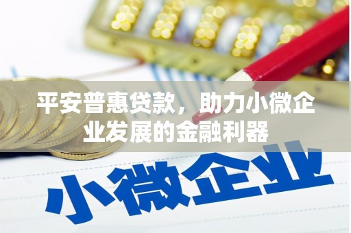 宜良平安普惠贷款，助力小微企业发展的金融利器