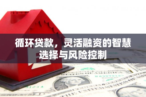 宜良循环贷款，灵活融资的智慧选择与风险控制