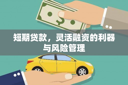 宜良短期贷款，灵活融资的利器与风险管理