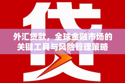 宜良外汇贷款，全球金融市场的关键工具与风险管理策略